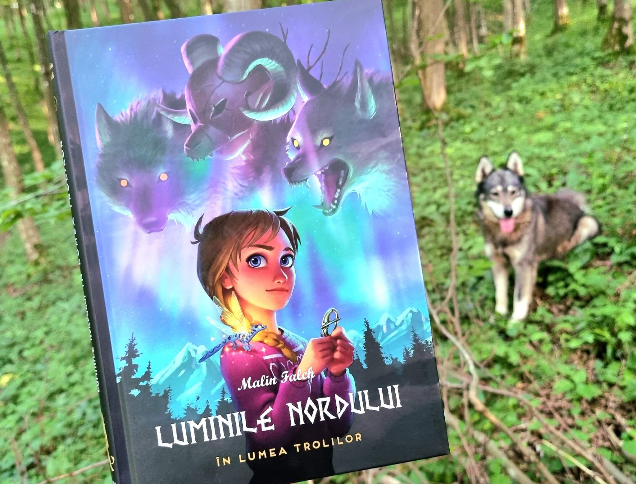 Luminile Nordului, de Malin Falch. O nouă serie captivantă de benzi desenate la Editura Casa